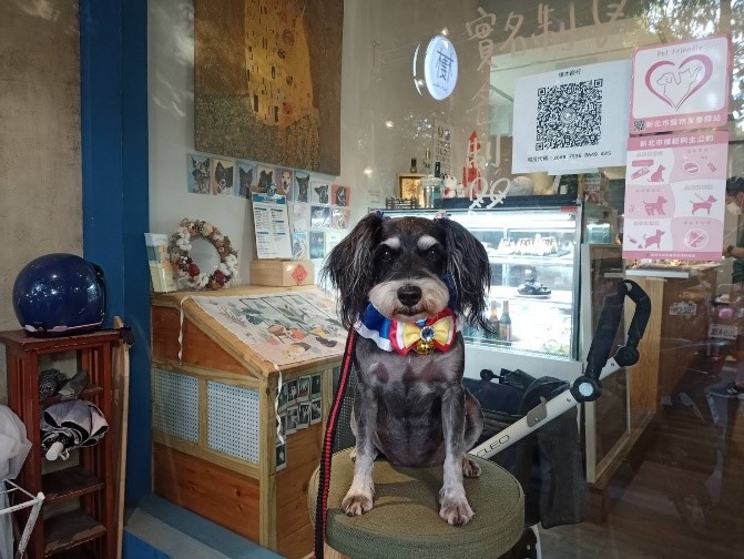 飼主白小姐和愛犬巧克到寵物友善店家喝下午茶，感謝店家提供寵物友善的用餐環境，拍照打卡還可以參加抽獎活動。 圖：新北市動保處提供