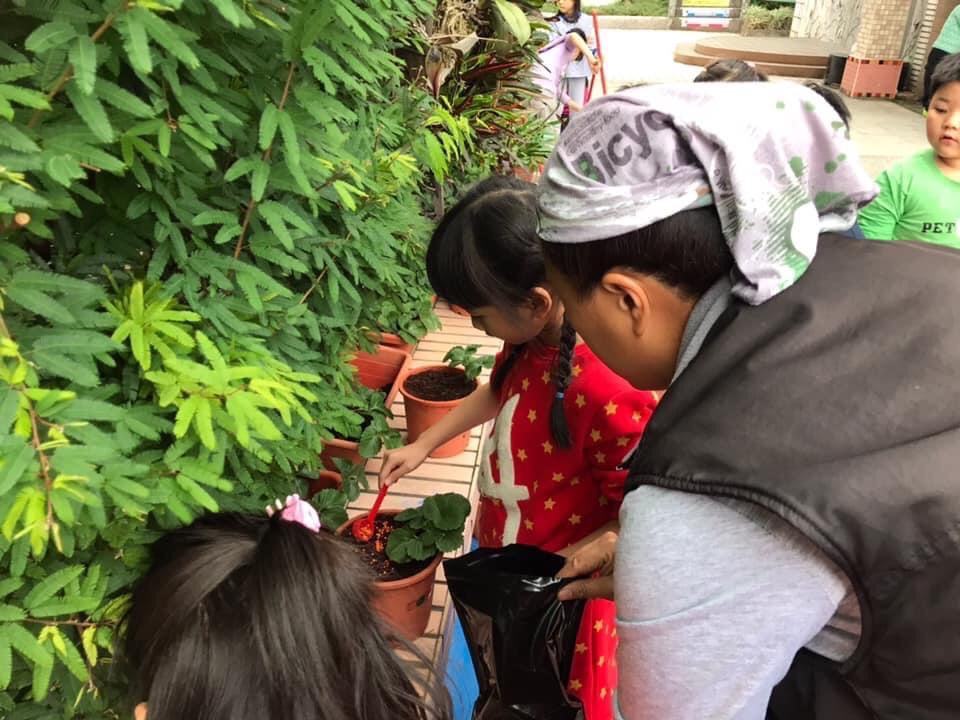 陳韻如至當地國小教導小朋友種植草莓。 圖：新北市農業局提供