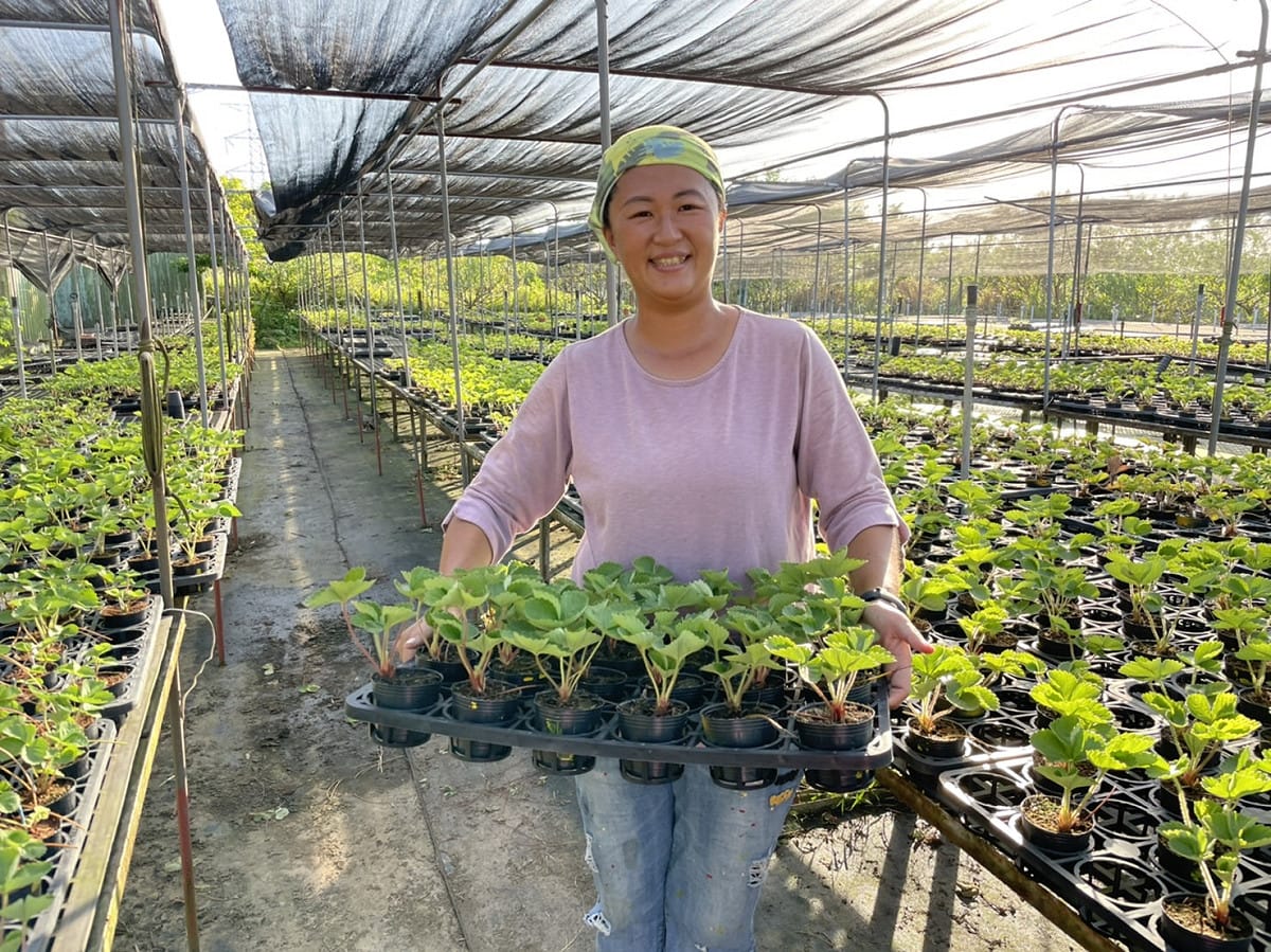 三芝女青農陳韻如。 圖：新北市農業局提供