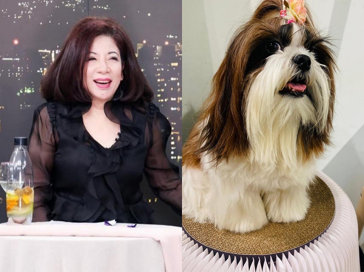 陳文茜表示自己身體近來每況愈下，2周前昏倒在家昏倒。 圖：翻攝自臉書