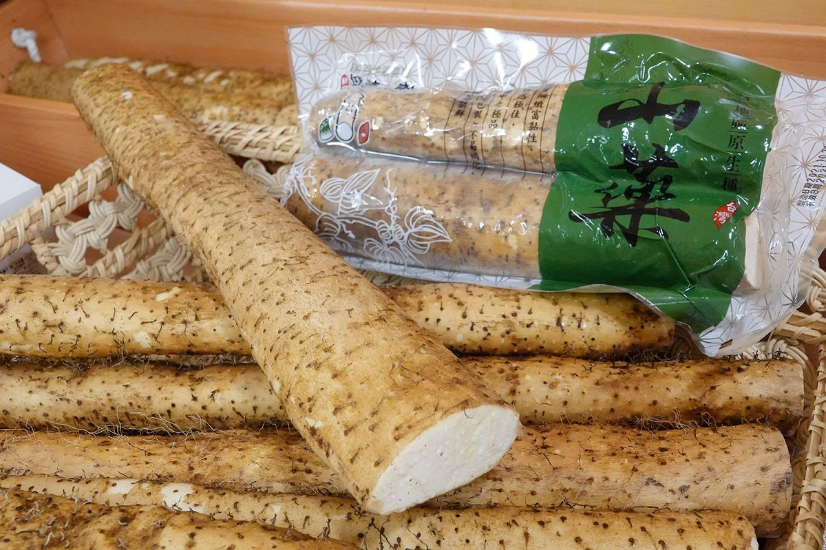 新北健康三寶-山藥。 圖：新北市農業局提供