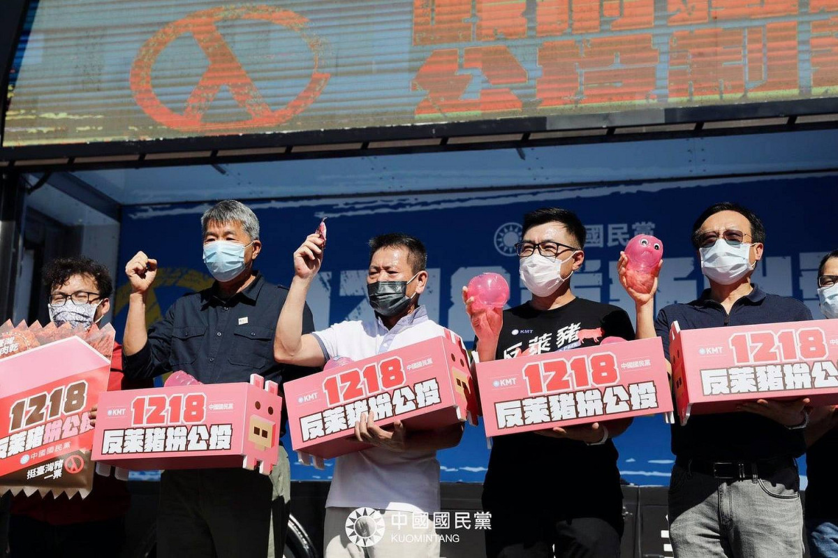 台灣基進立委陳柏惟罷免案通過，1218公投將成藍綠下個戰場。 圖：翻攝自國民黨臉書