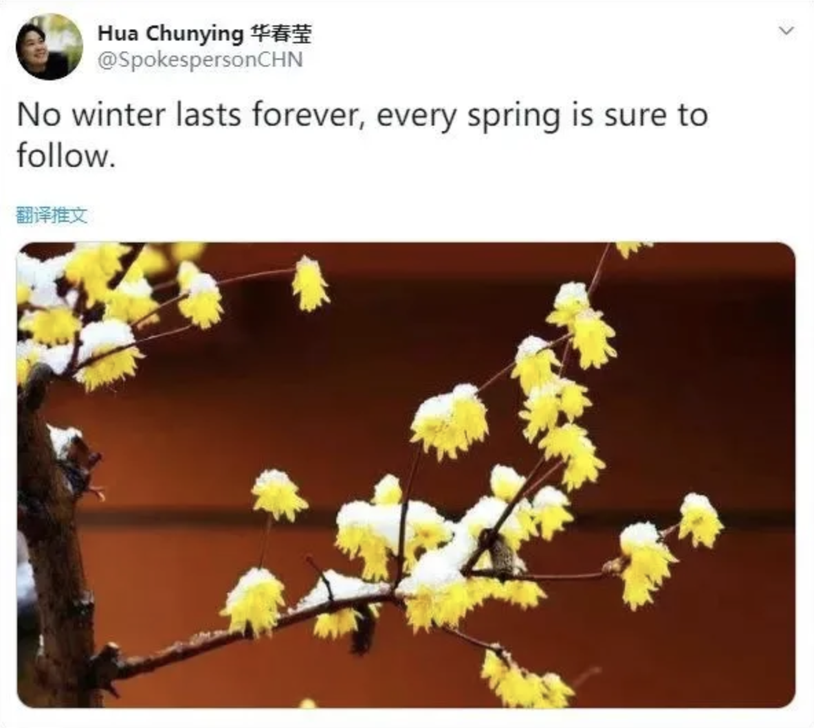 華春瑩發布的第一條推特推文。 圖：翻攝自華春瑩推特