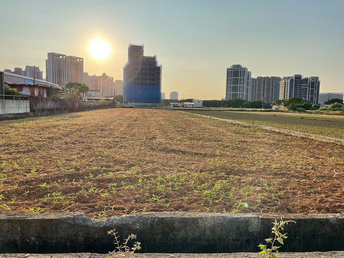 桃園農地過去曾發生鎘污染及地下水污染等重大事件，全市列管農地約342公頃，今年10月改善完成全數解列。 圖：桃園市環保局/提供