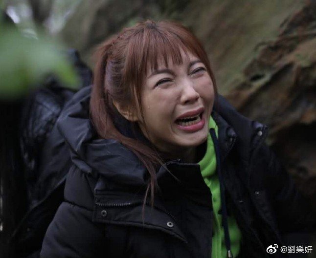 劉樂妍自爆，她向中國政府申請「開公司」，卻因為被當局認定是「外資」而被拒絕。 圖：翻攝自微博