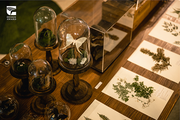 以充滿詩意的展示手法展出栩栩如生的動植物標本。 圖：新北市文化局提供