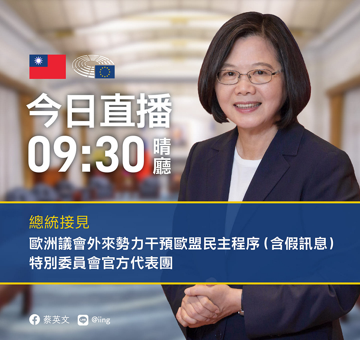 總統蔡英文今接見歐洲議會「外來勢力干預歐盟民主程序 （含假訊息）」特別委員會官方代表團。 圖：擷取自蔡英文臉書