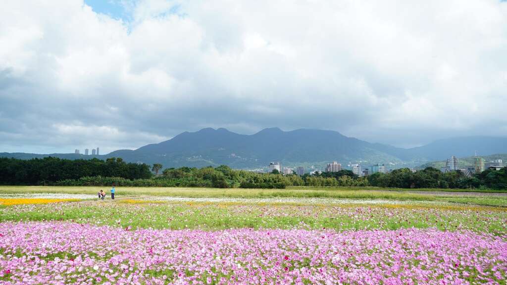 群山環繞的遼闊農田即將變身繽紛花海(2020紀錄照片) 。 圖：台北工務局／提供
