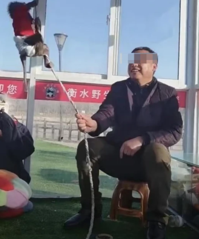 飼養員疑似虐待動物。 圖 : 翻攝自騰訊網
