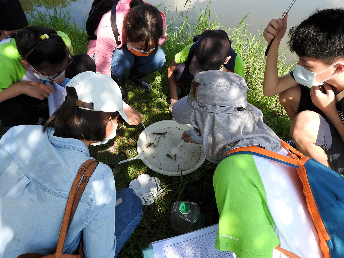 鹿角溪溼地環境監測水棲生物觀察。