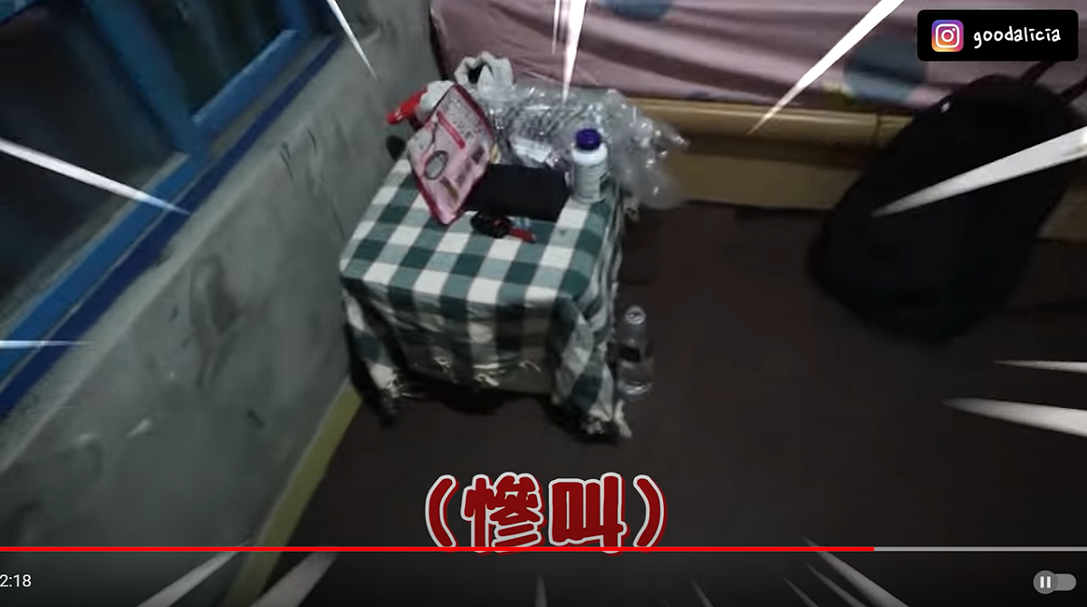 愛莉莎莎看到蟑螂驚聲尖叫。 圖：翻攝自愛莉莎莎YouTube頻道