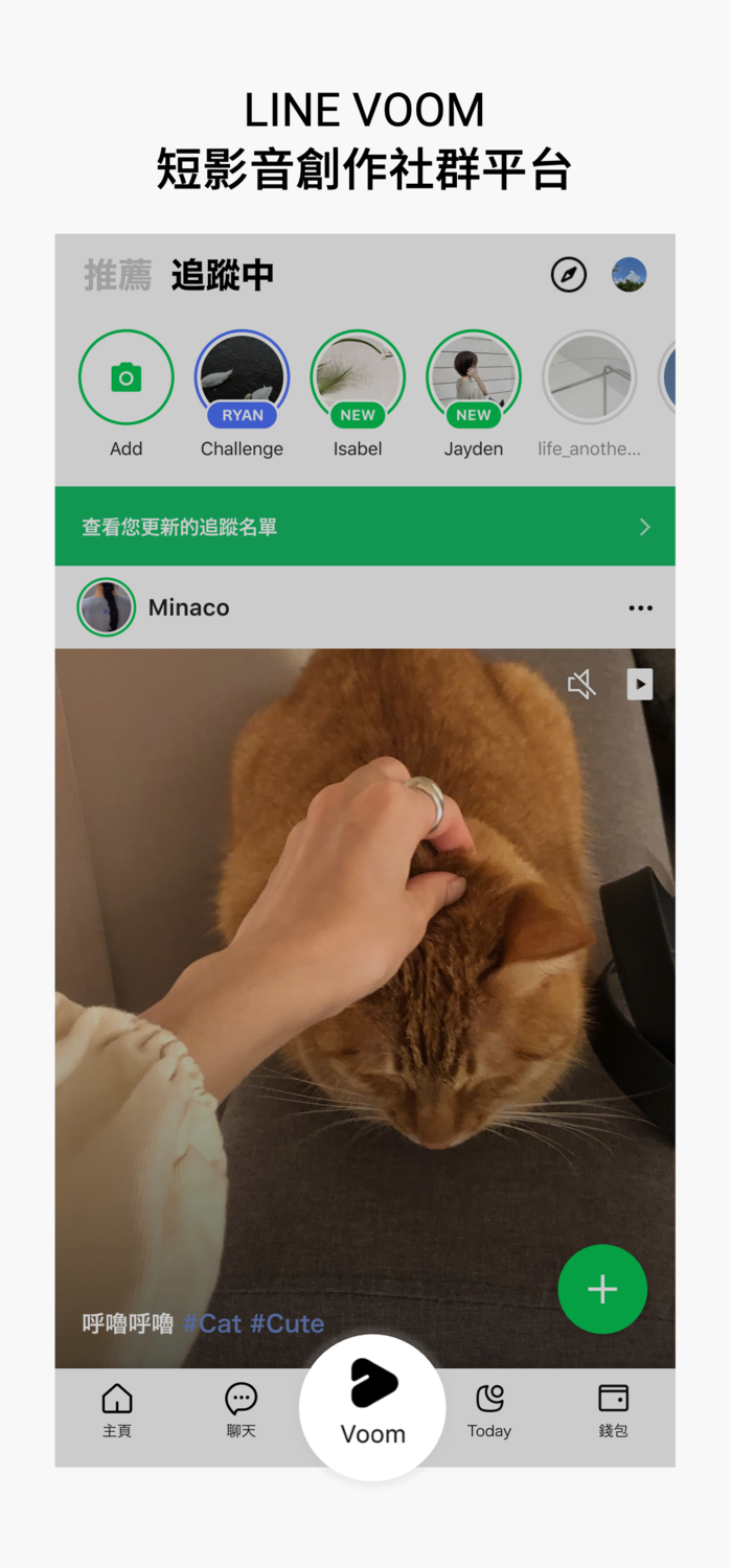 用戶在短影音創作社群平台「LINE VOOM」上可追蹤自己喜歡的創作者。 圖：LINE／提供
