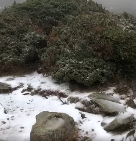 雪山在今日降下入冬初雪。 圖：擷取自臉書「雪霸國家公園登山資訊分享站」
