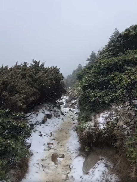 雪山主峰今日上午積雪約2-3公分 圖：擷取自臉書「雪霸國家公園登山資訊分享站」