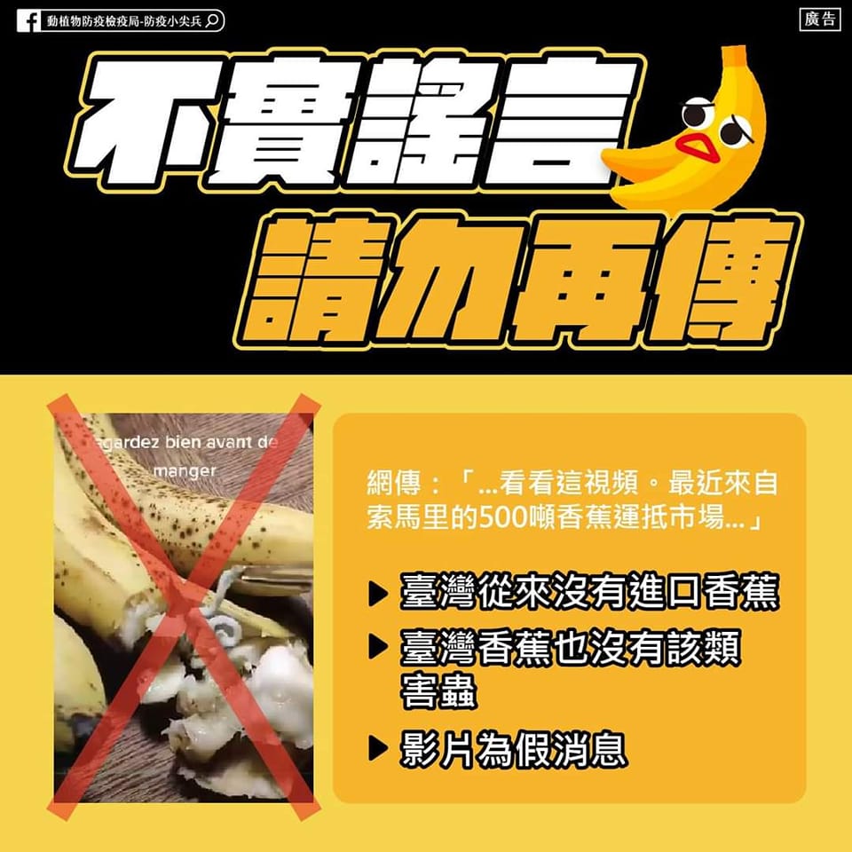 行政院農業委員會主委陳吉仲強調，台灣沒有從索馬利亞進口過任何香蕉，台灣香蕉也從沒有出現過「螺杆菌」寄生蟲。 圖：擷取自陳吉仲臉書