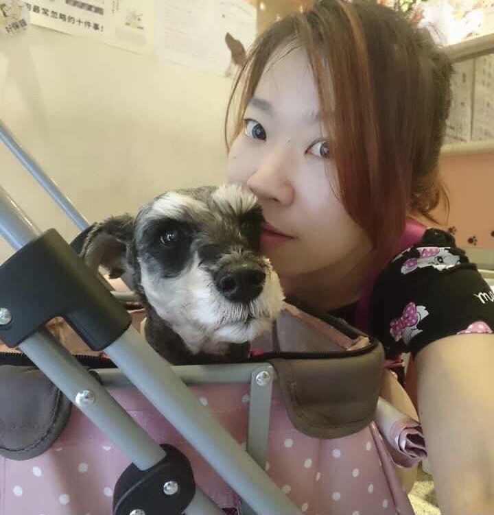 飼主應隨時關心寵物身體變化，並保持寵物健康體態。 圖：新北市動保處提供
