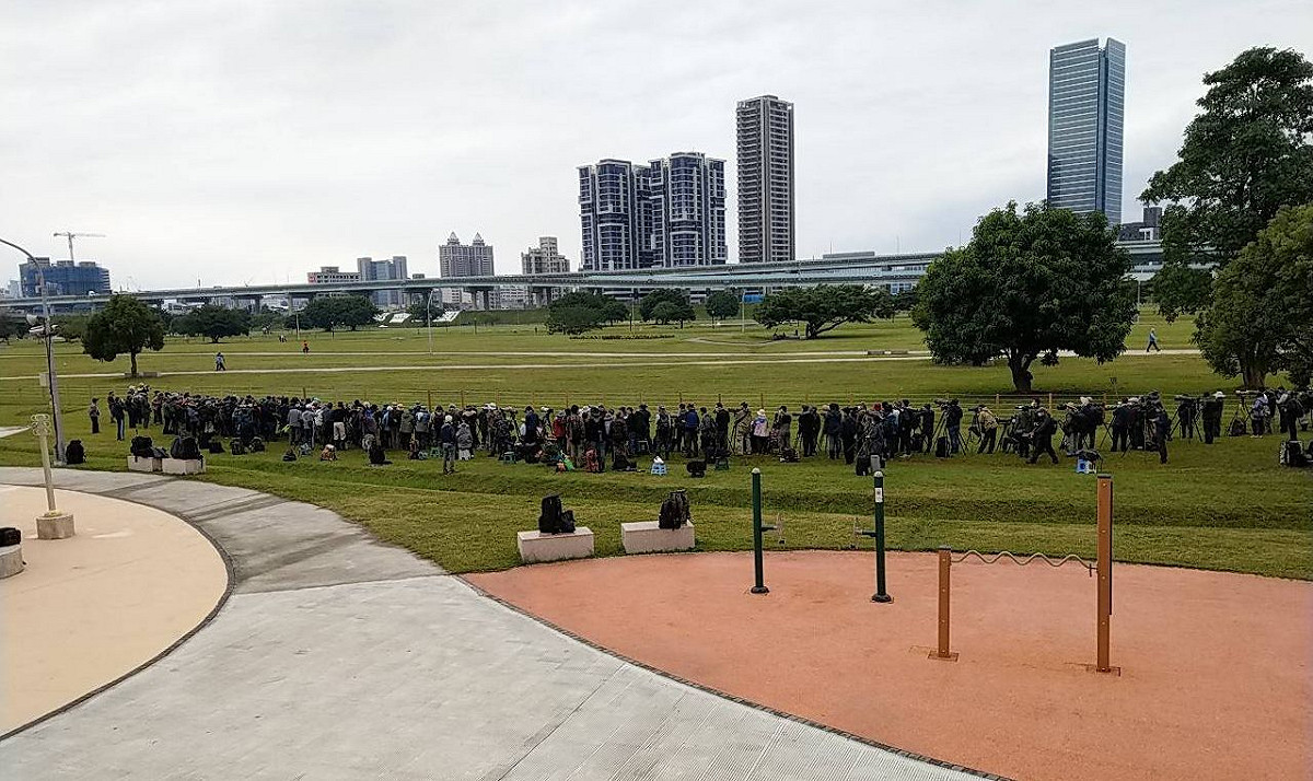 稀鳥「沙䳭」在新北熊猴森樂園現蹤，吸引大批鳥友及攝影愛好者。 圖：新北市高灘地工程管理處提供