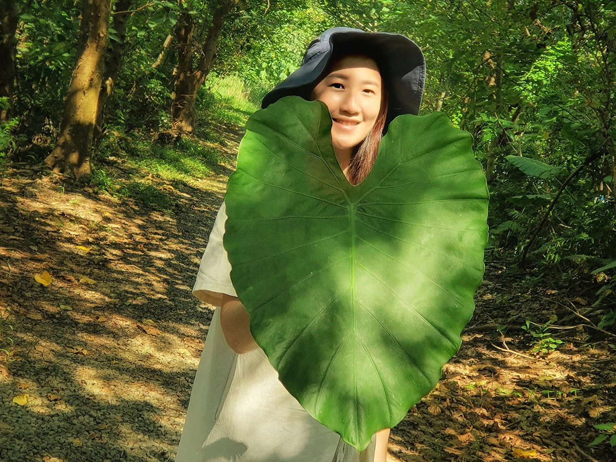 晴天時拍攝陽光穿透綠葉間灑落地上點點光斑穿過綠色隧道。 圖：新北市水利局提供