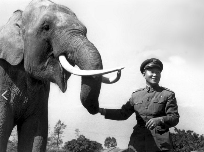 《我那遙遠的呼喚》首度揭露台北動物園吉祥物大象林旺爺爺，與孫立人將軍的緣分。 圖 : 翻攝自府中15