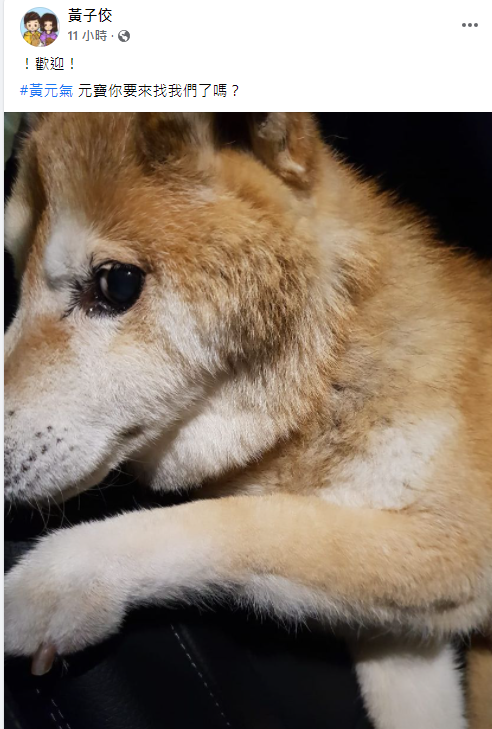 黃子佼貼出已逝愛犬「元氣」的照片，向愛犬喊話「元寶你要來找我們了嗎？」 圖：翻攝自黃子佼臉書