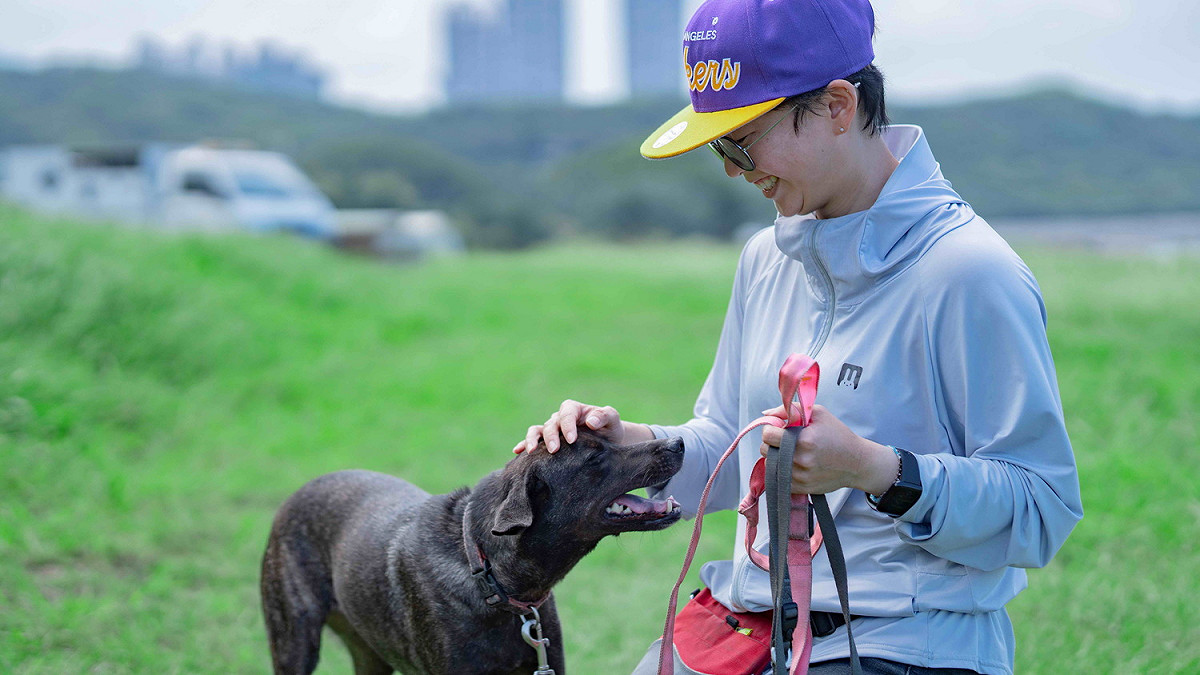經過訓犬師紀筱涵的引導，犬隻已能與訓犬師親密互動。 圖：新北市動保處提供