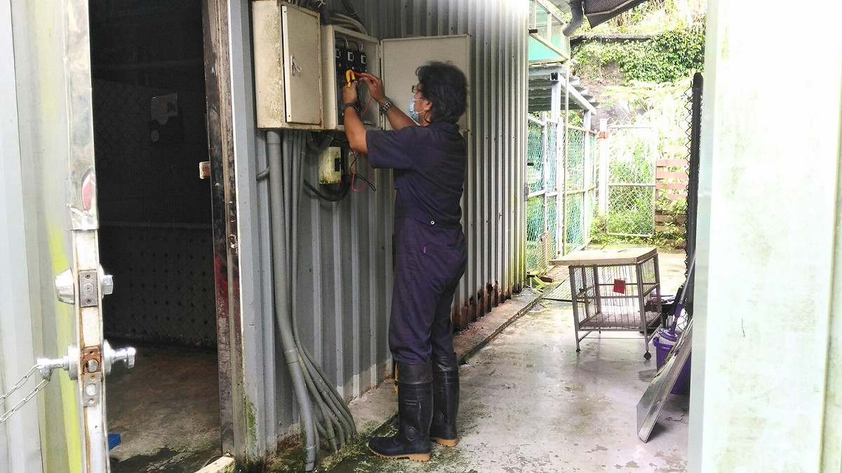 袁立榮協助處理停電問題，正在檢查電箱內有無異常。 圖：新北市動保處提供
