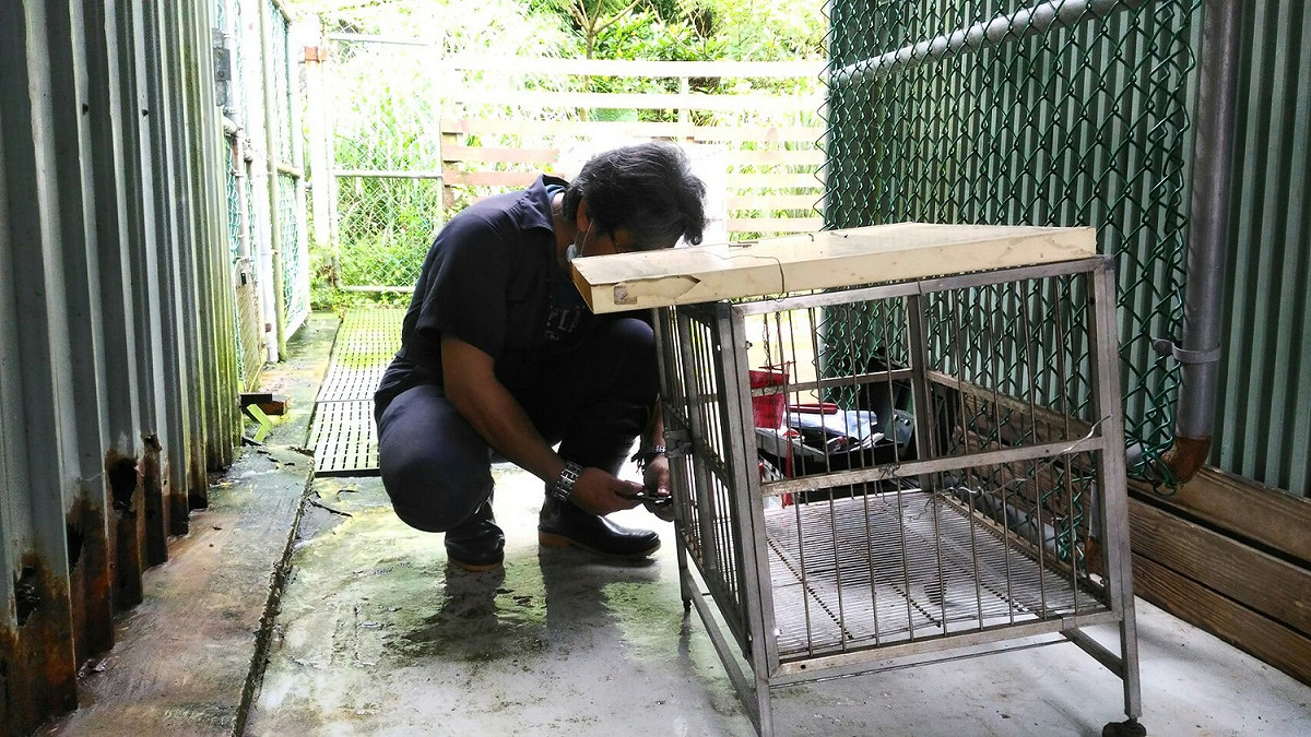 袁立榮正在維修一破損的不鏽鋼犬籠。 圖：新北市動保處提供