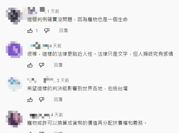 很多網友認同這個判決。 圖：翻攝自瑩真律師YouTube頻道