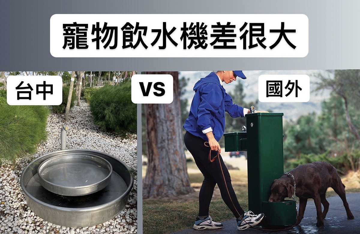 市議員賴佳微質疑中央公園的寵物飲水設備裡頭長青菩。 台中市議員賴佳微/提供