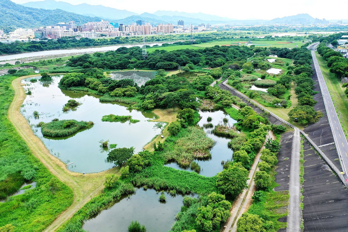 鹿角溪人工濕地於2007年完工。 圖：新北市水利局提供