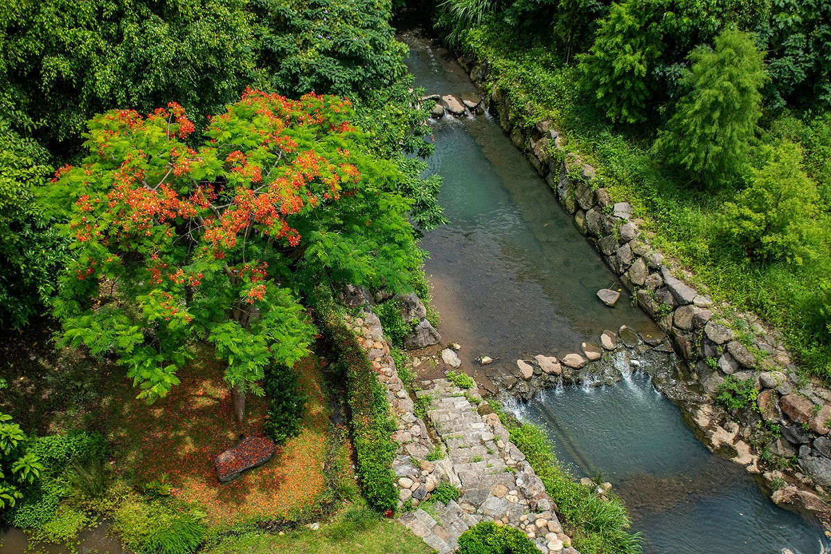 米粉寮溪從原本的污水溝，經過滬尾藝文休閒園區的自然工法生態復育，搖身一變成為魚蝦蟹的樂活天堂。 圖：新北市經發局提供