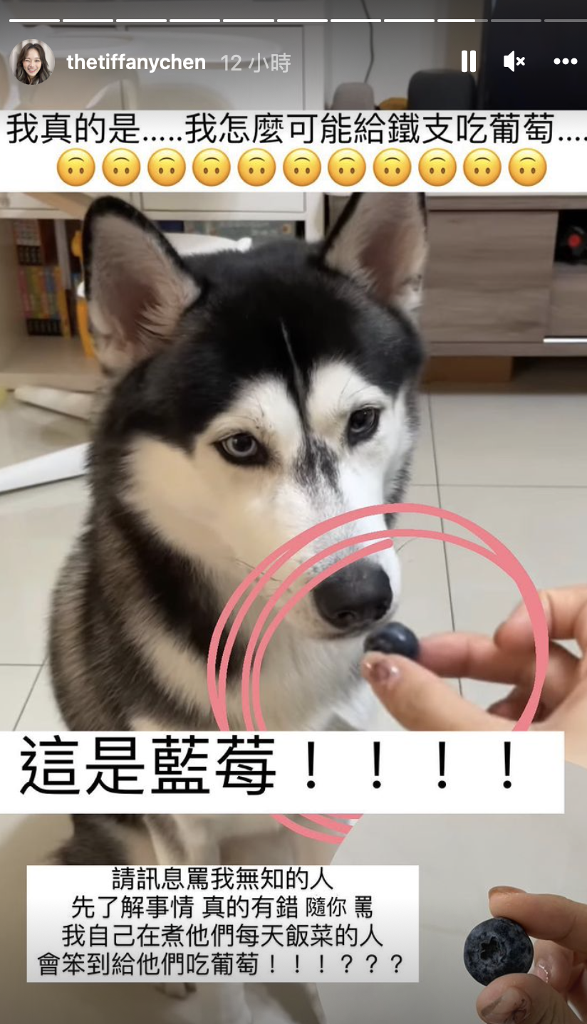 陳彥婷發文澄清。 圖：翻攝自IG/陳彥婷