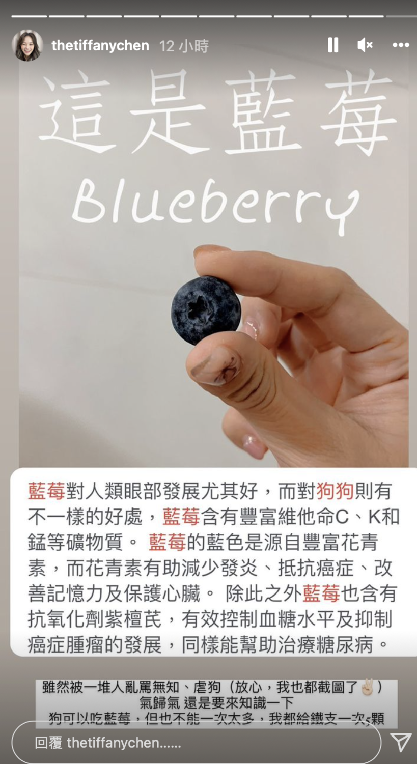 陳彥婷表示餵食給毛孩吃的是藍莓。 圖：翻攝自IG/陳彥婷