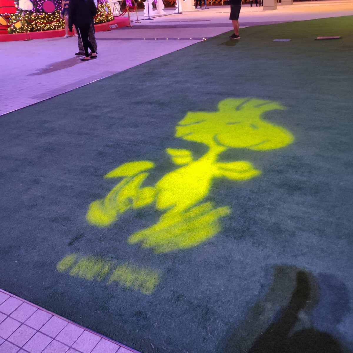 每天晚上6時至10時每個整點都有燈光秀。 圖：姚彥宇／攝影授權