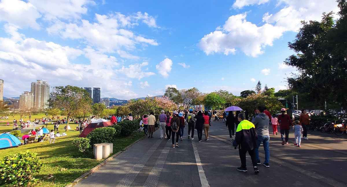 陽光公園春天櫻花盛開。 圖：新北市水利局提供
