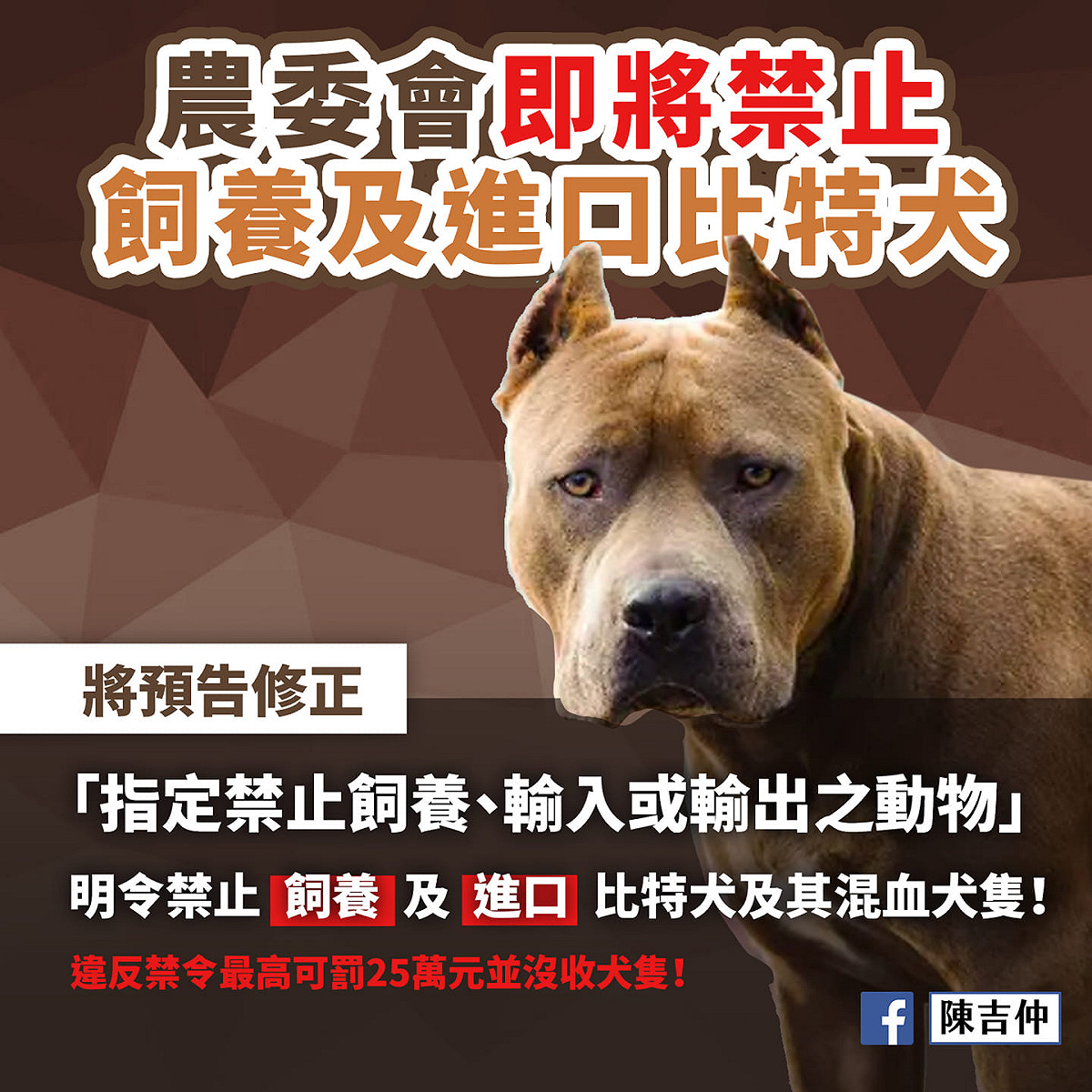 農委會公告，比特犬自明年3月1日起為指定禁止飼養或輸入之動物。 圖：翻攝陳吉仲臉書