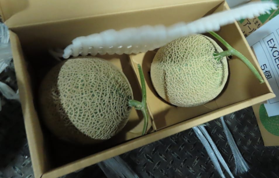 熊本哈密瓜驗出農藥殘留量超標。 圖：食品藥物管理署／提供