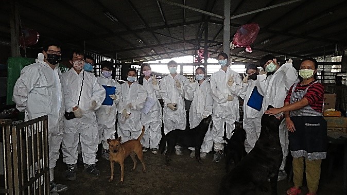 台大獸醫學院師生團隊與動保處人員到民間收容所後，穿著防護衣與鞋套，避免病菌帶入收容所內，維護所內犬隻健康。 圖：新北市動保處提供