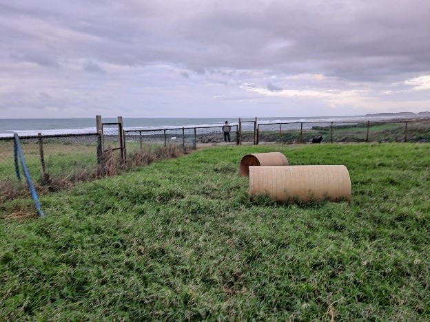 三芝民間動物收容所有無敵海景的戶外空間，可讓毛寶貝可盡情奔跑。 圖：新北市動保處提供
