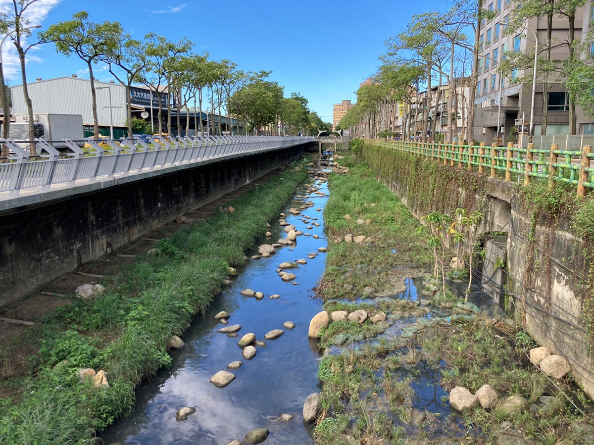 金瑞龍在108年新北市議會開議期間提案，建請市府整治藤寮坑溝，希望營造河川自然生態，將其改造為都市生態河道，提供友善生物環境及棲地。 圖：金瑞龍辦公室提供
