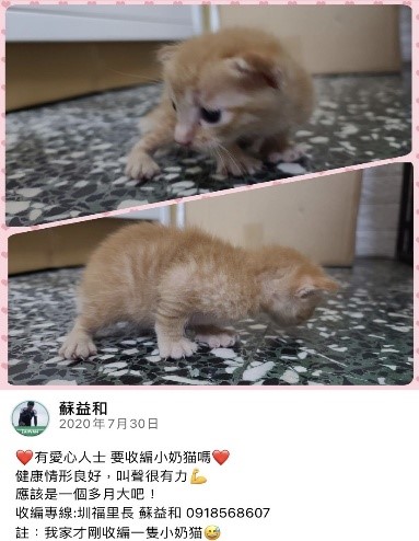 樹林區圳福市民活動中心設立認養小棧，里長蘇益和時常在社群平台上放認養資訊，增加流浪動物的曝光率。 圖：新北市動保處提供