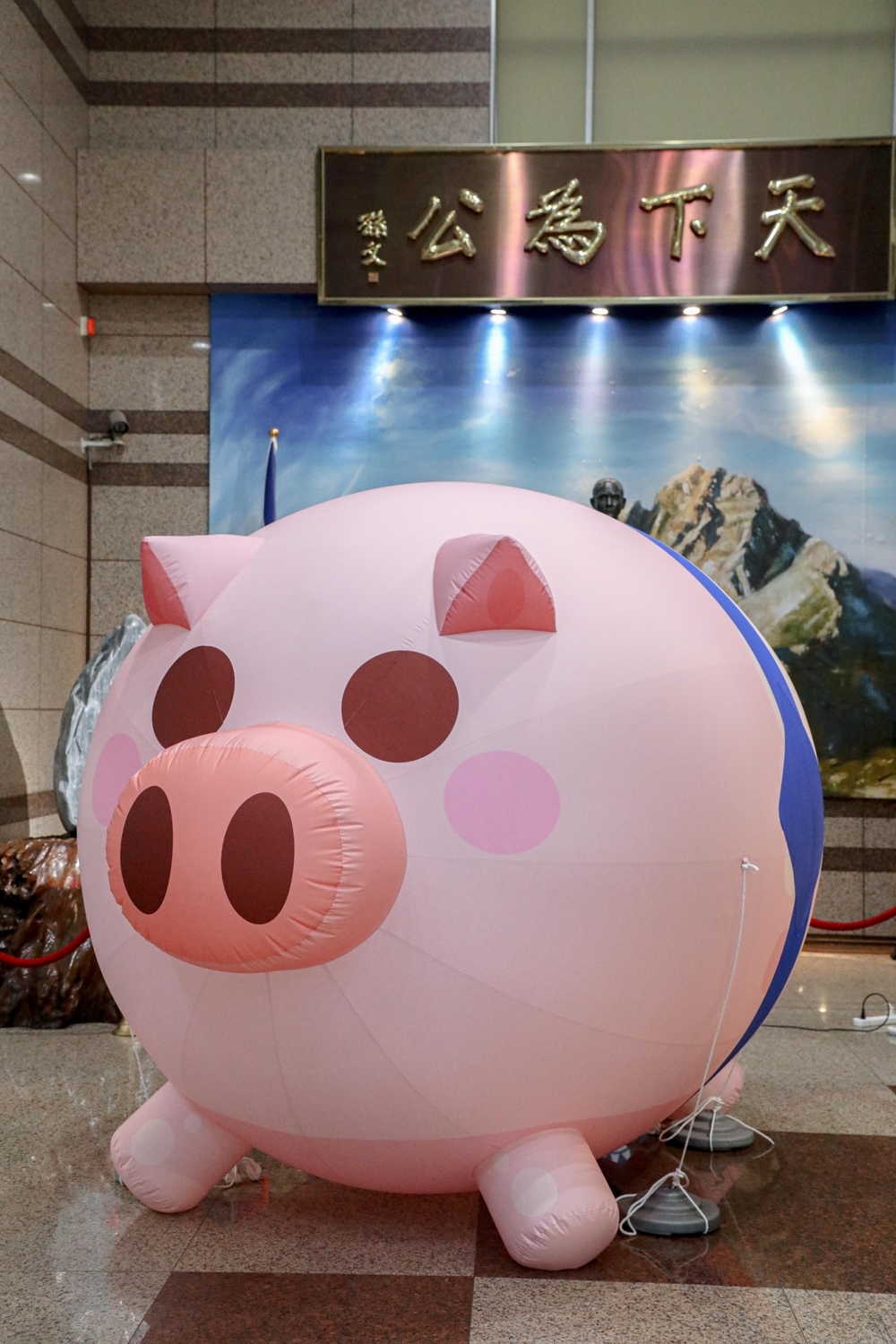 國民黨為公投遊行特製的「健康寶寶豬」。 圖：國民黨文傳會/提供