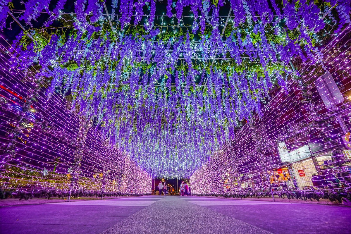 淡水老街廣場燈飾-飾-紫藤光廊(夜間)。 圖：淡水區公所提供