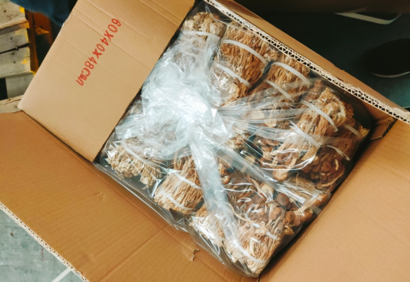 中國大陸「乾茶樹菇」農藥殘留量超標。 圖：食品藥物管理署／提供