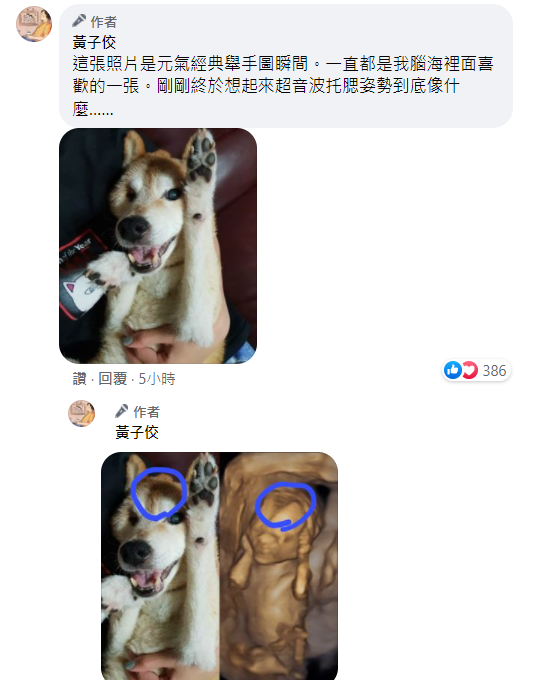 黃子佼表示女兒托腮動作與元氣極度相似。 圖：翻攝自黃子佼臉書