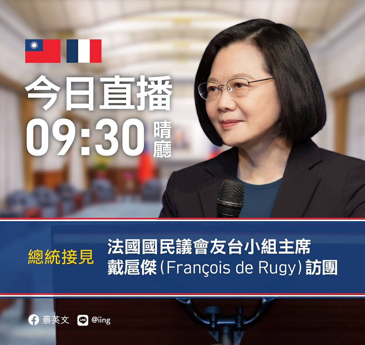 總統蔡英文於總統府內接見法國國民議會友台小組主席戴扈傑訪團。 圖：擷取自蔡英文臉書