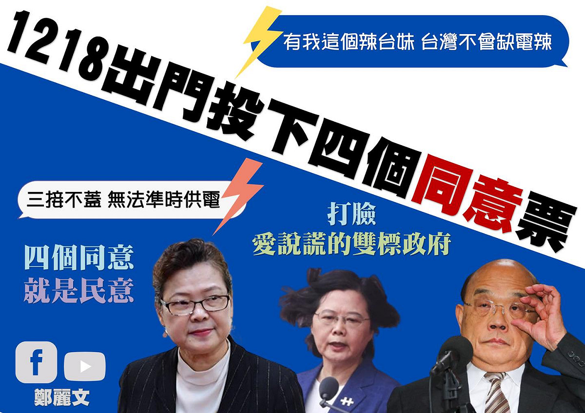 鄭麗文呼籲公投應投下四個同意票。 圖：擷取自鄭麗文臉書