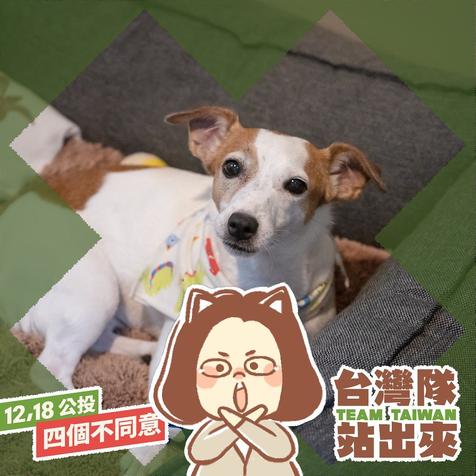 搜救犬樂樂是蔡英文家今年的新成員，也是台灣的救災英雄之一。 圖：翻攝蔡英文臉書