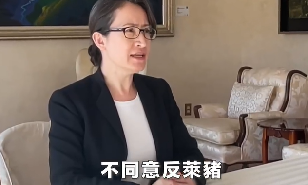 駐美代表蕭美琴強調，台灣要和世界做生意、交朋友，呼籲大家反萊豬公投，請投「不同意！」 圖：截自蕭美琴臉書影片