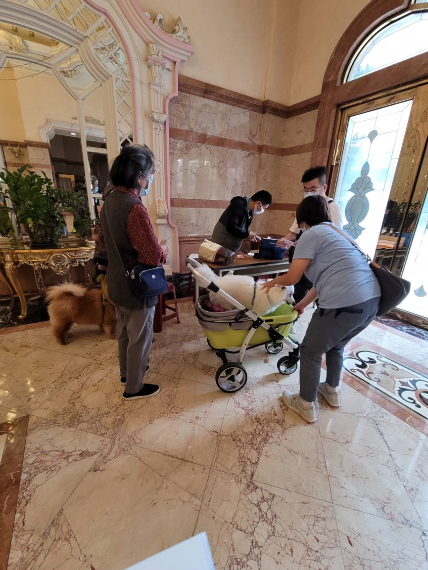 林口社區打狂犬病疫苗情形，飼主走兩步就到社區指定地點替毛小孩施打疫苗。 圖：新北市動保處提供